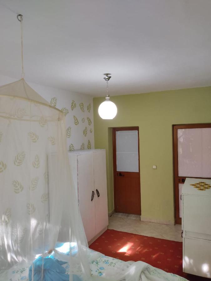 Private Apartment Elbasan Historic Center Exterior photo