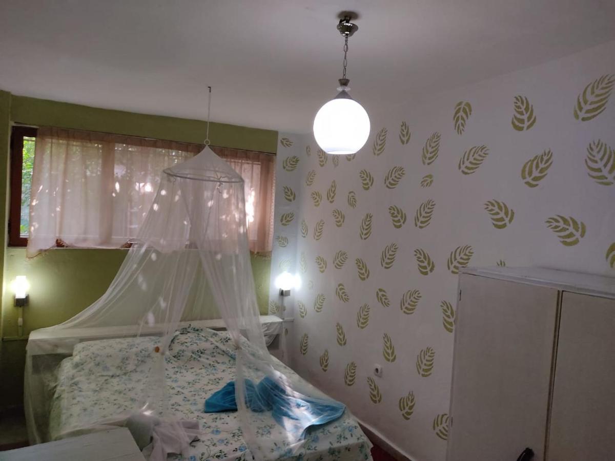 Private Apartment Elbasan Historic Center Exterior photo