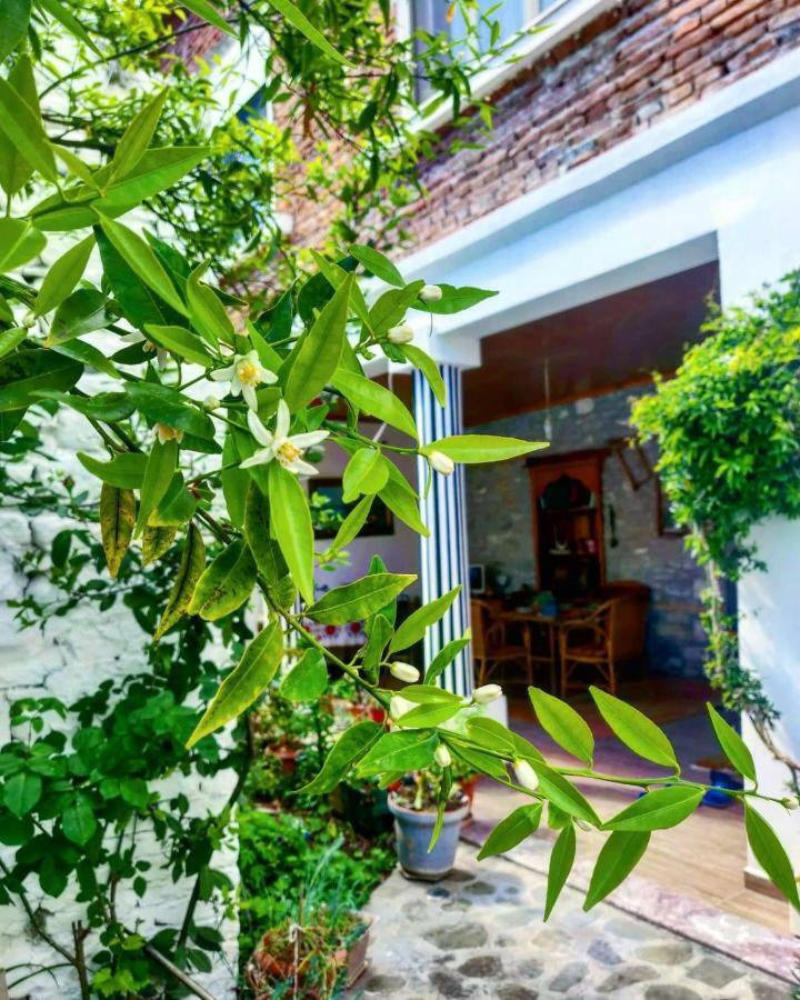 Private Apartment Elbasan Historic Center Exterior photo